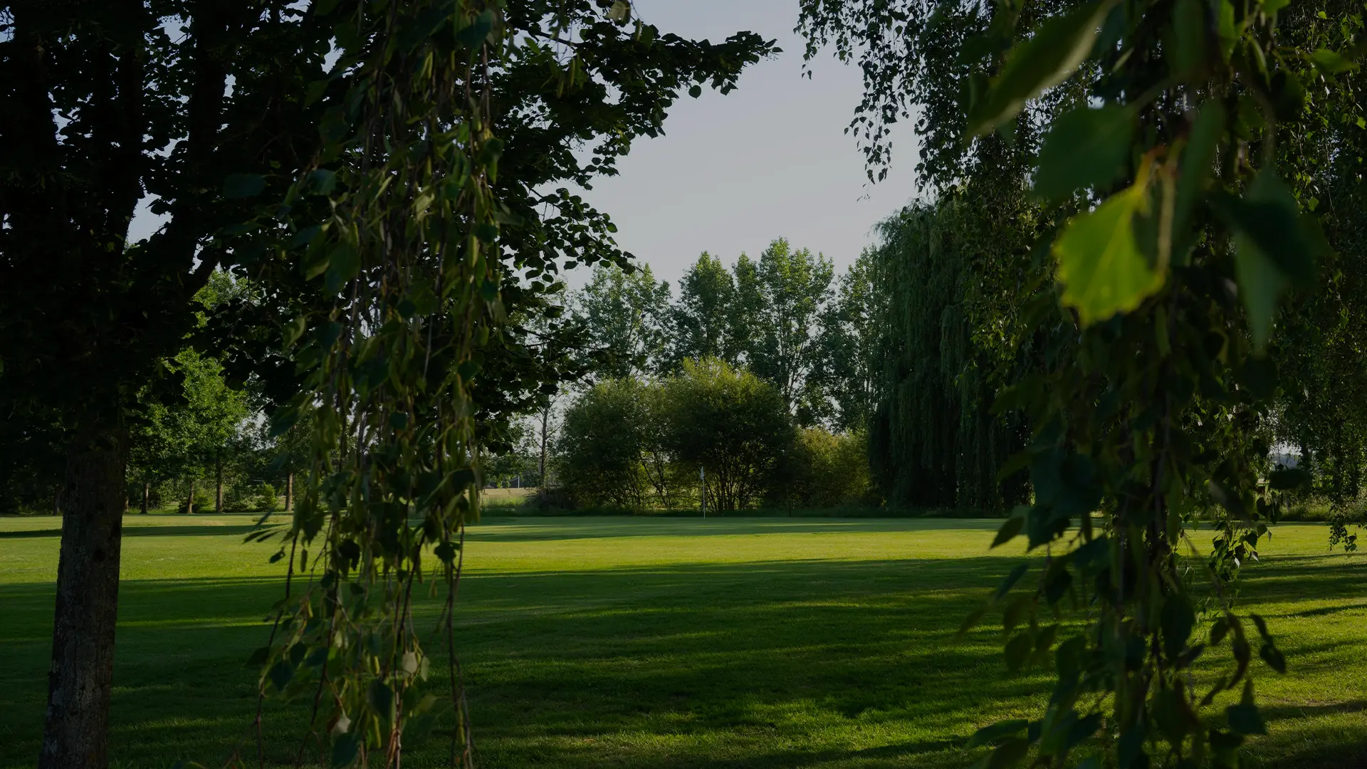 Green du parcours du Mans Golf Club entouré d'arbres